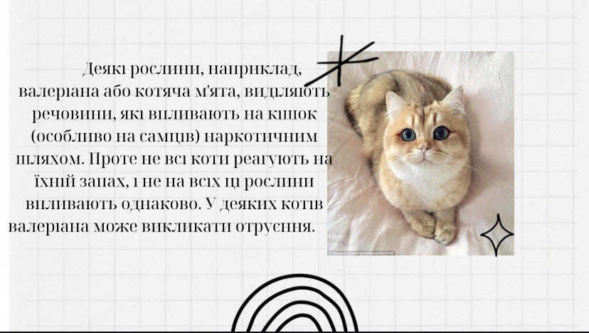 IMG_4511.jpeg