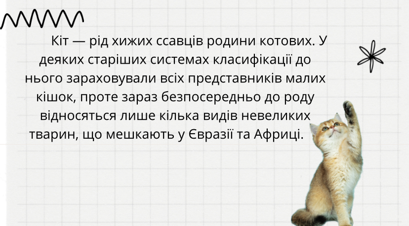 IMG_4506.jpeg