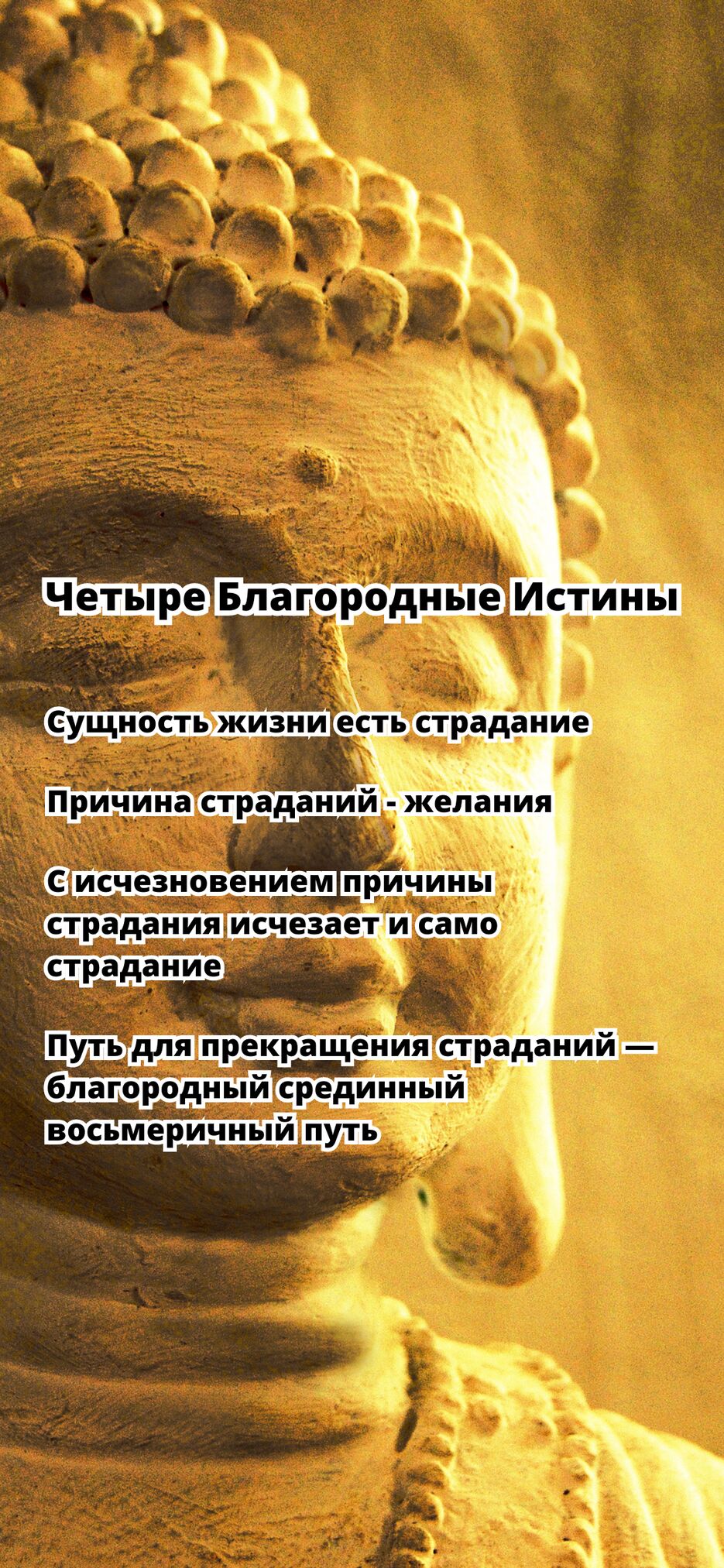 сущность жизни естиь(3).png