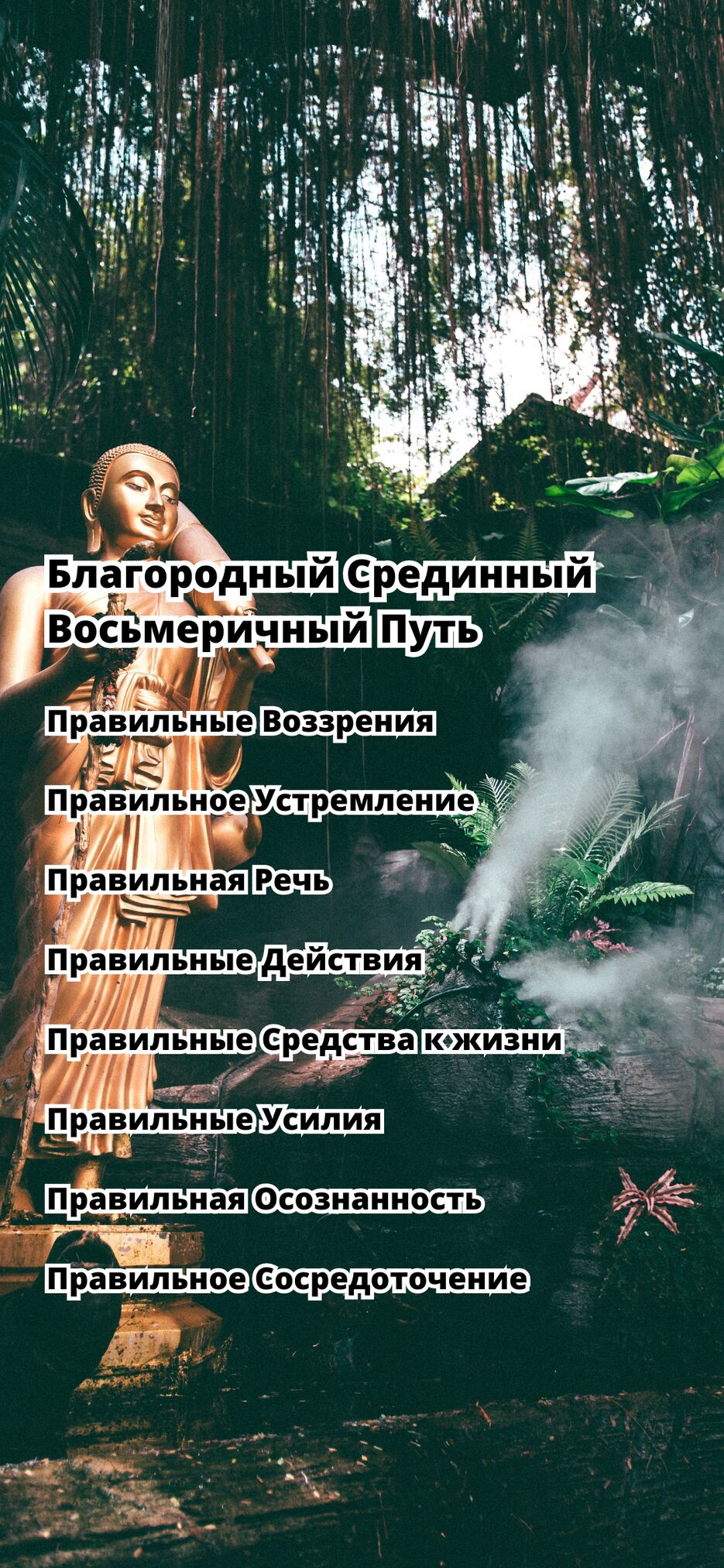 сущность жизни естиь, копия(1).png