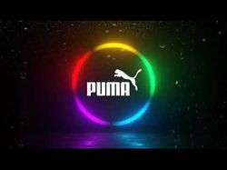 Digital Puma Logo