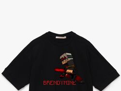 Brendy Design 