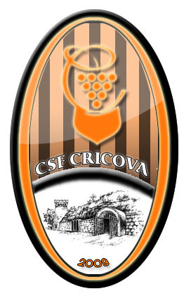 Футбольный Клуб CSF Cricova.jpg