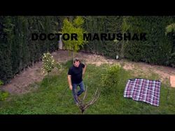 Доктор Марушак (серия роликов с упражнениями)
