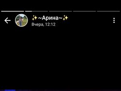 Все что угодня