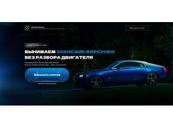 Лендинг Автокоронка