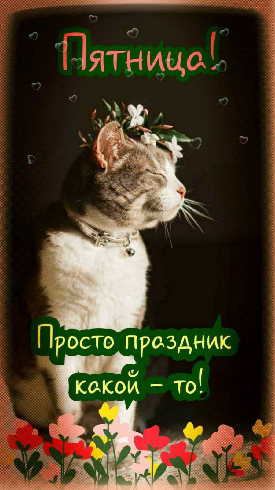 IMG-08474c1473b18b7386a526992c4a1e01-V.jpg