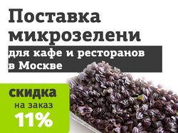 Рекламные креатив баннеры для микро-зелени "The Cressfather"