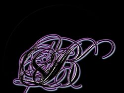 My works 