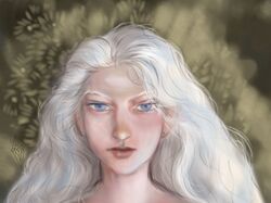 Заказы