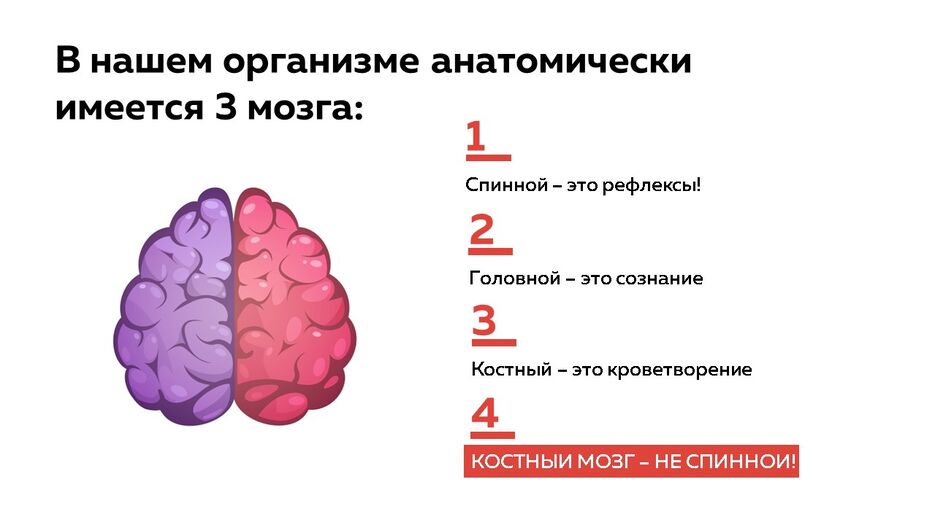 Слайд4.JPG