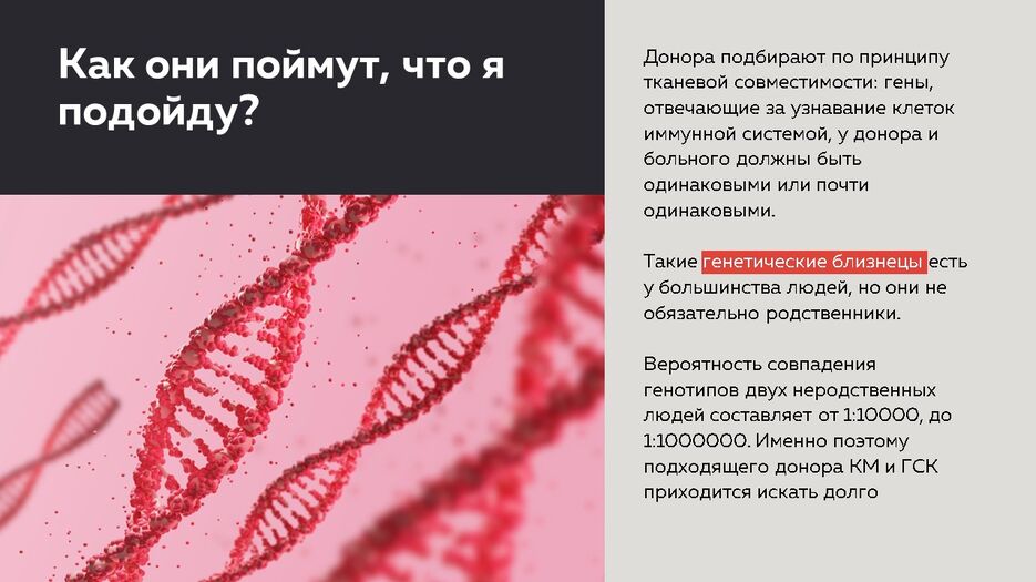 Слайд7.JPG