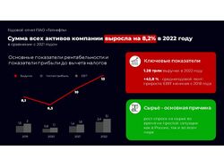 Инфографика из отчетной презентации