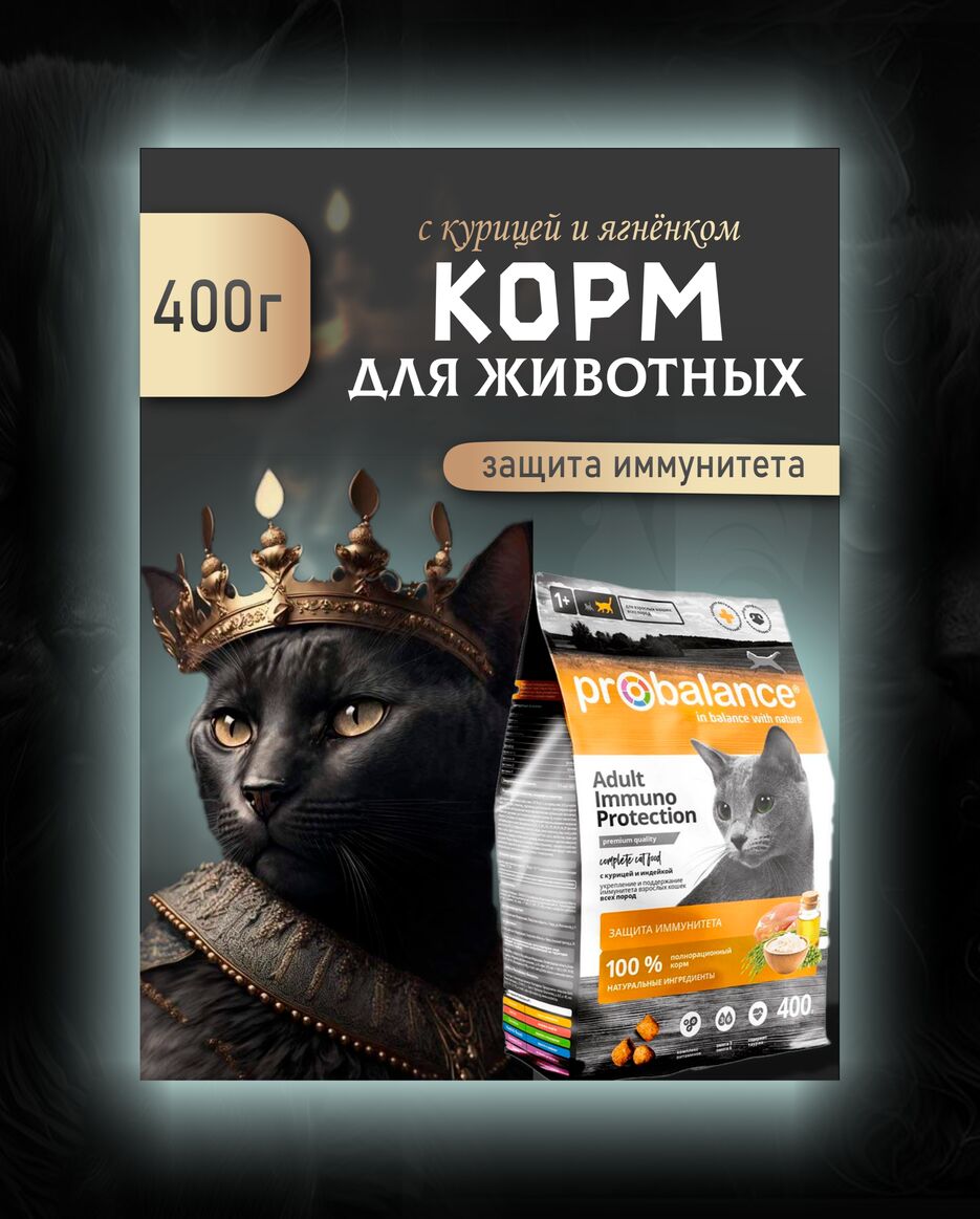 инф.png