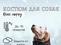 Инфографика