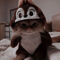 Mimizy-ky