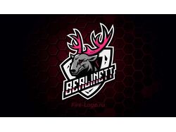 Логотип Twitch канала Berlinett