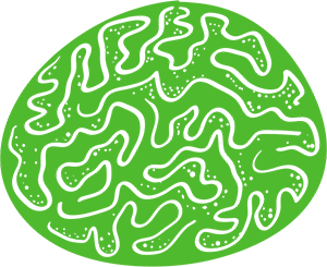 3dd19c115063865.62552a0666152.png