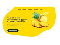 Exotic Fruits