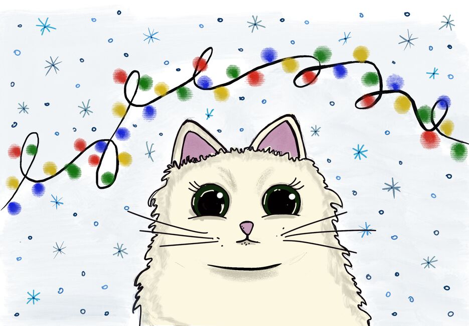 IMG_0029.png