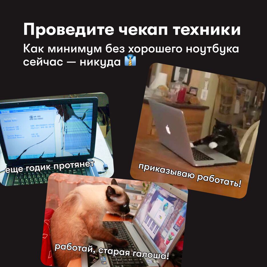 11.png