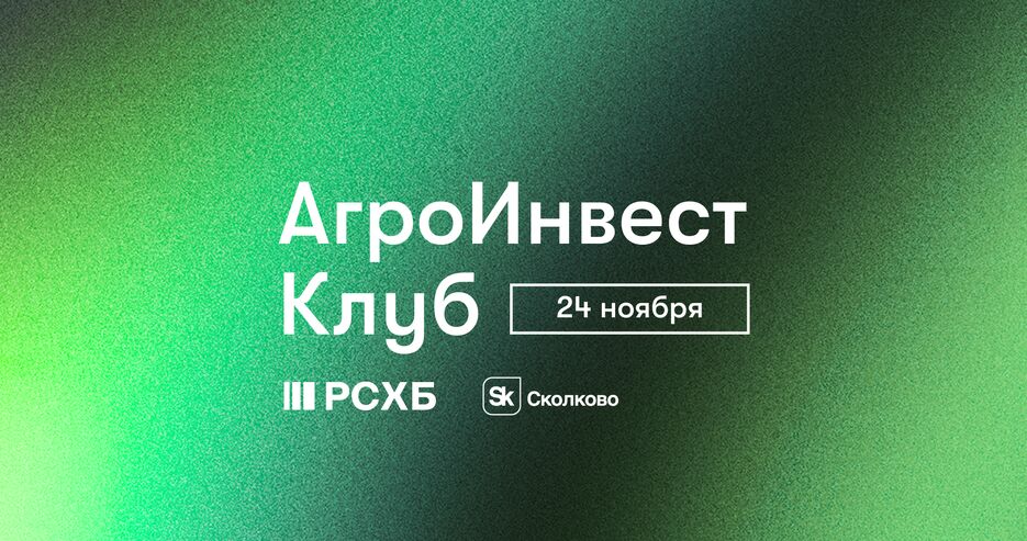 обложка Notion.png
