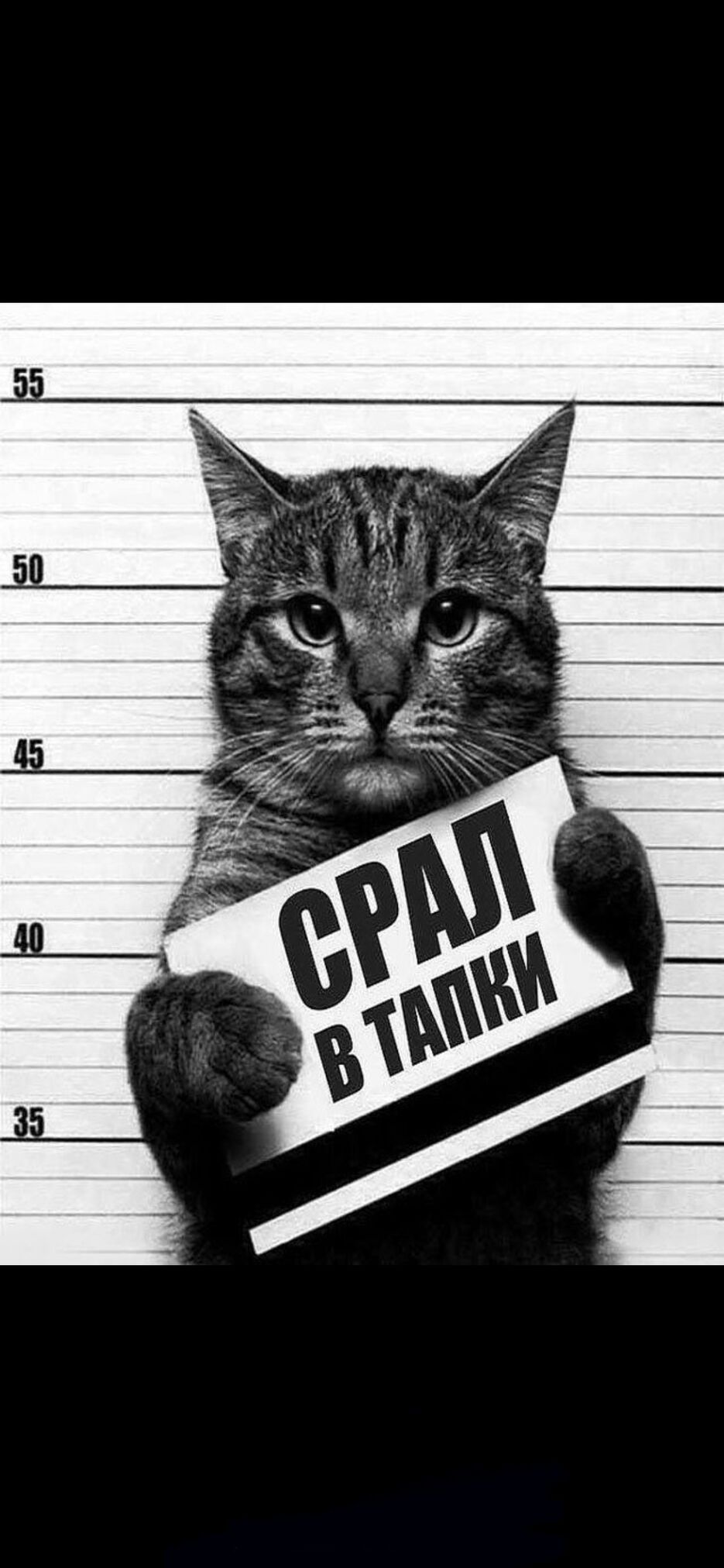 Изображение PNG.png