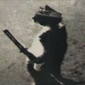 Flaer6