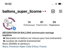 Оформление Instagram для Ballons Super Licorne