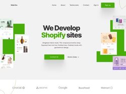 Web Developer 