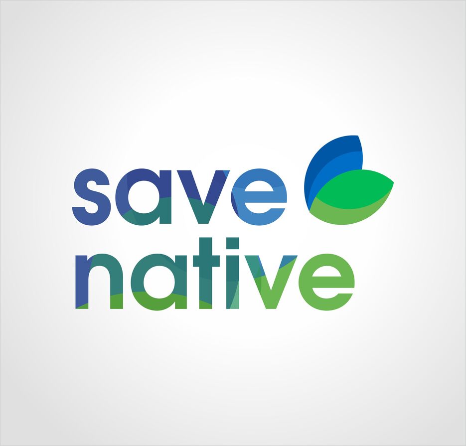 Save the world4.jpg
