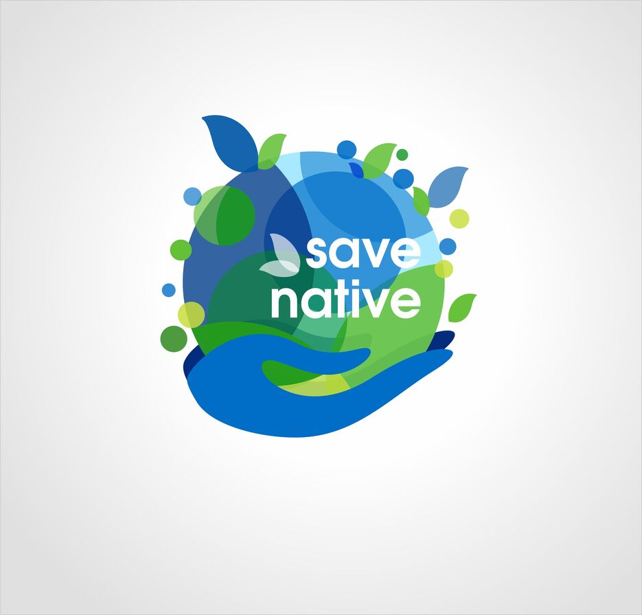 Save the world5.jpg