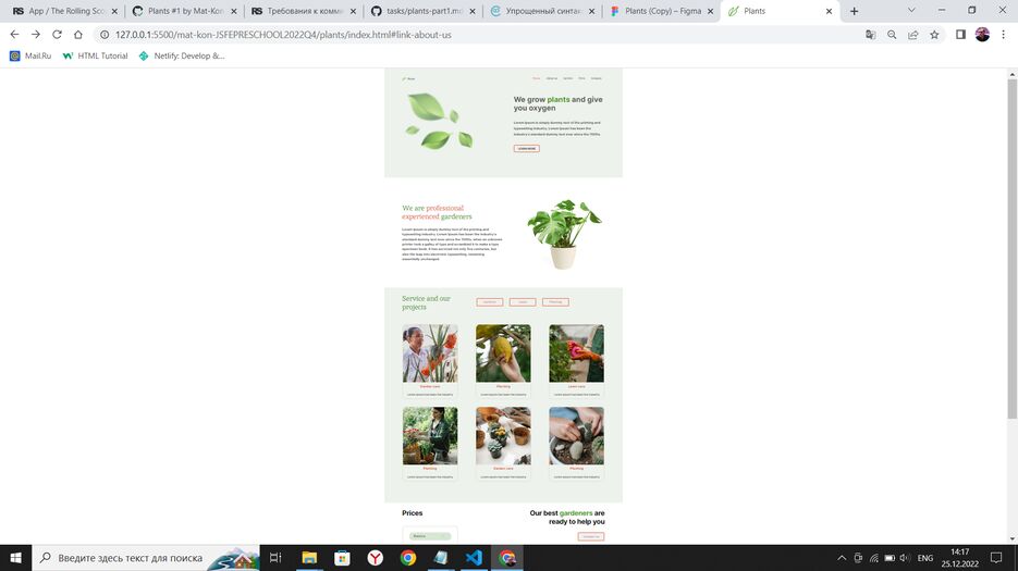 Plants P1.png
