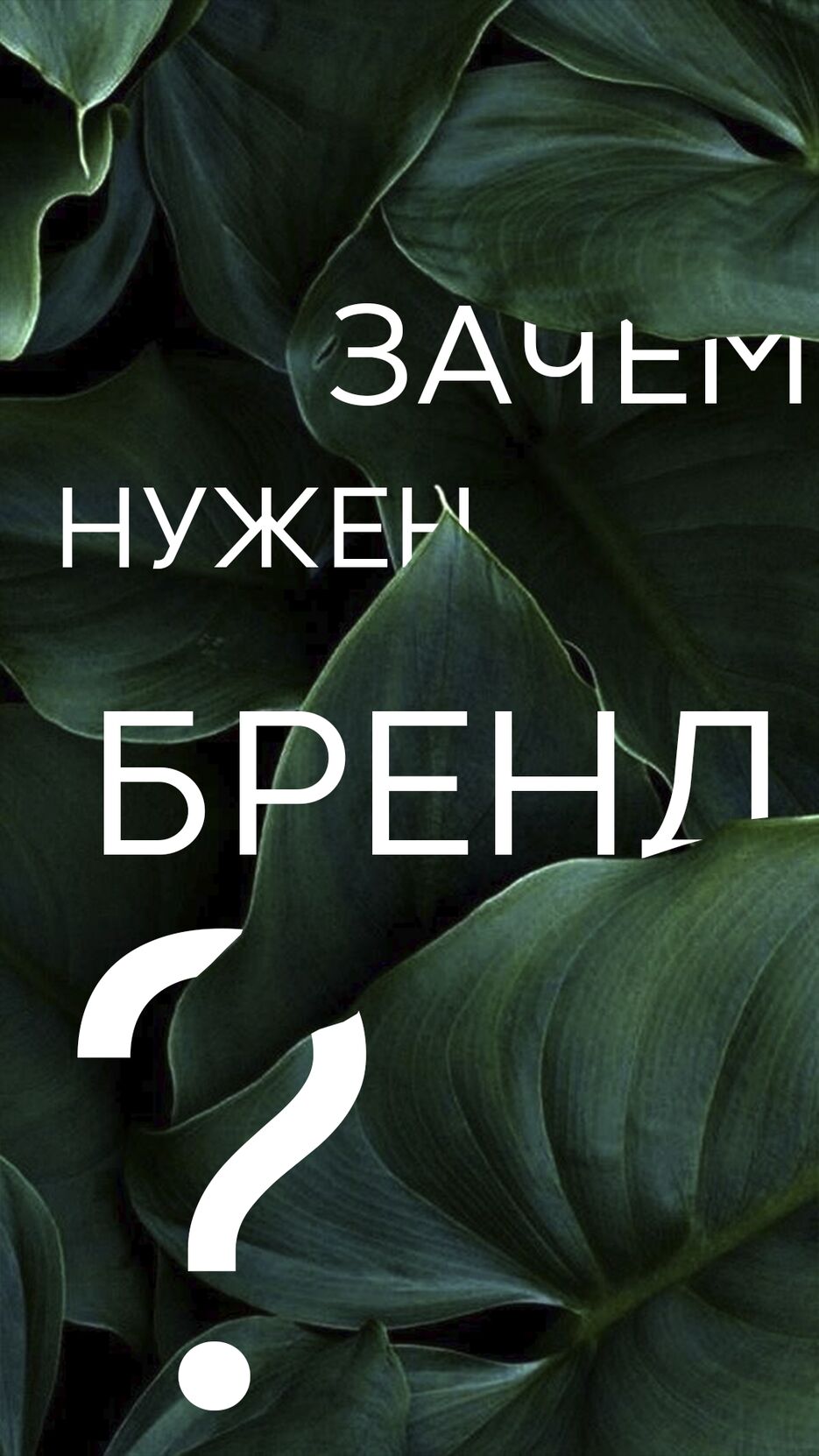 третье.png