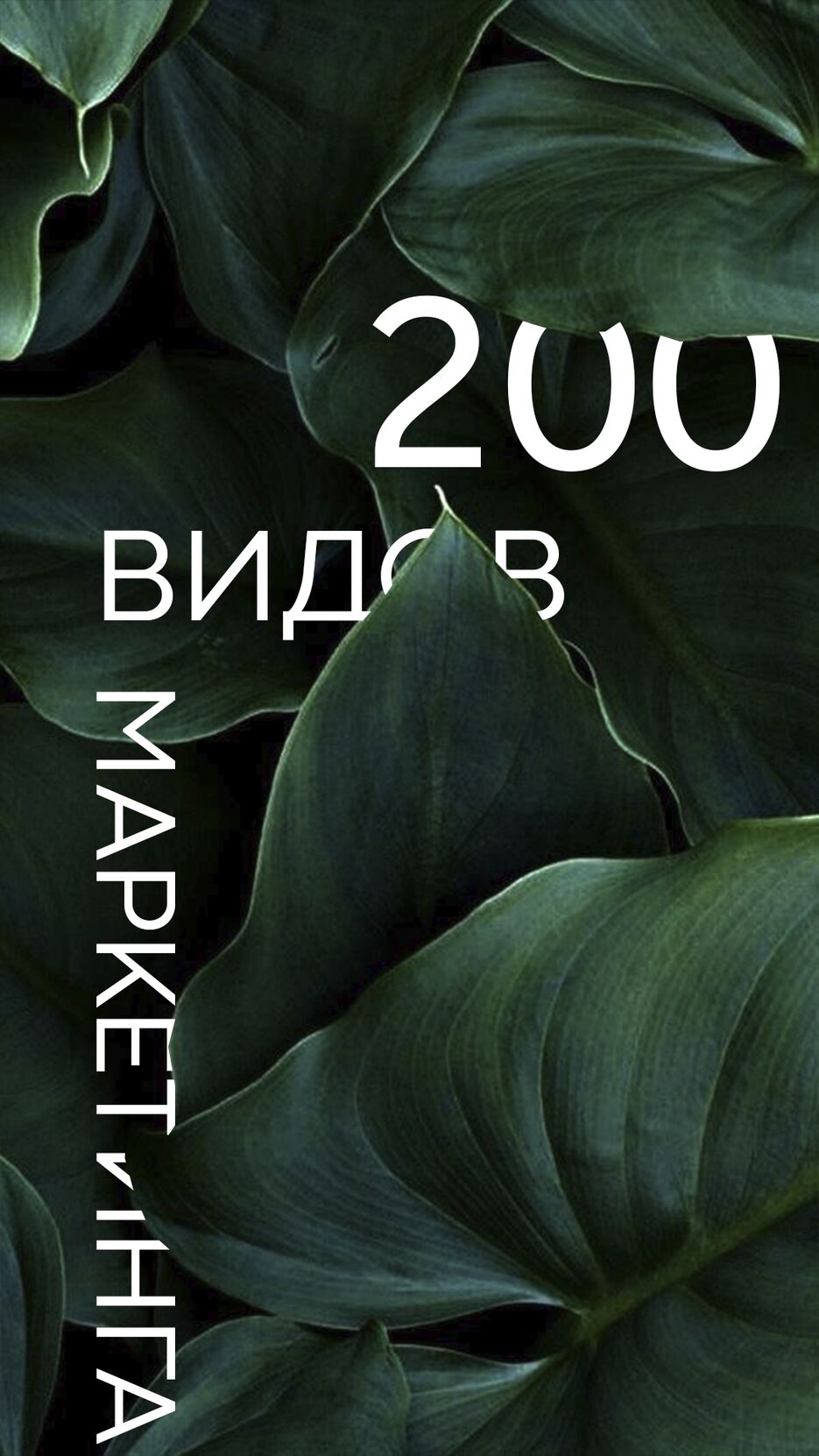 третье2.png