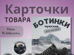 Инфографика