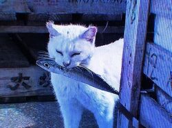 Диктор
