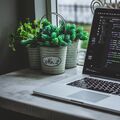 Web-develop-Mak