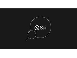 What Is Sui?