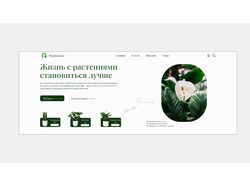 Магазин цветов