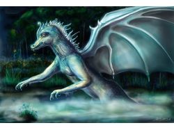 Мужская ипостась дракона