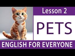  English lessons for everyone_2