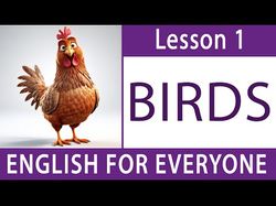 English lessons for everyone_1