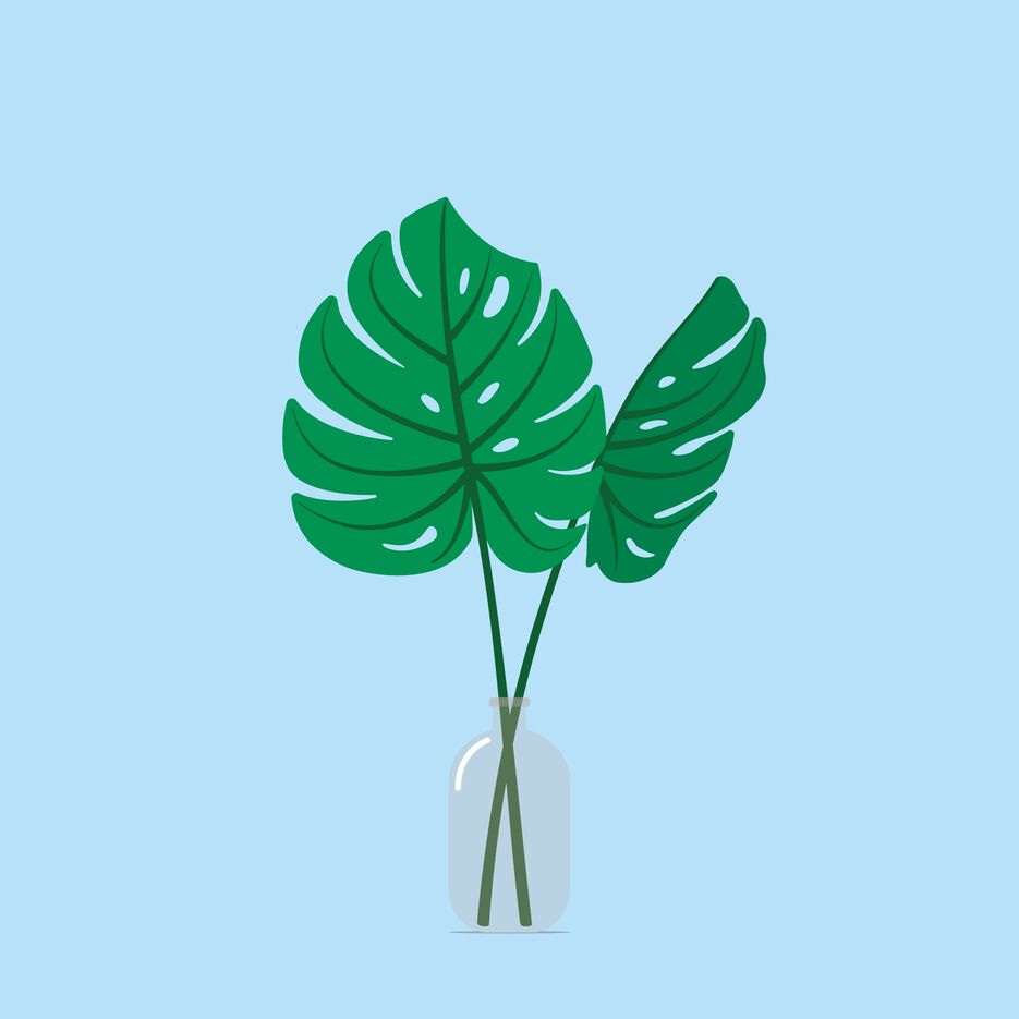 ferns .png