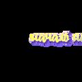 RSFEVA