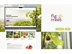 Дизайн интернет-магазина фиговых деревьев