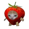 sanya_sovn