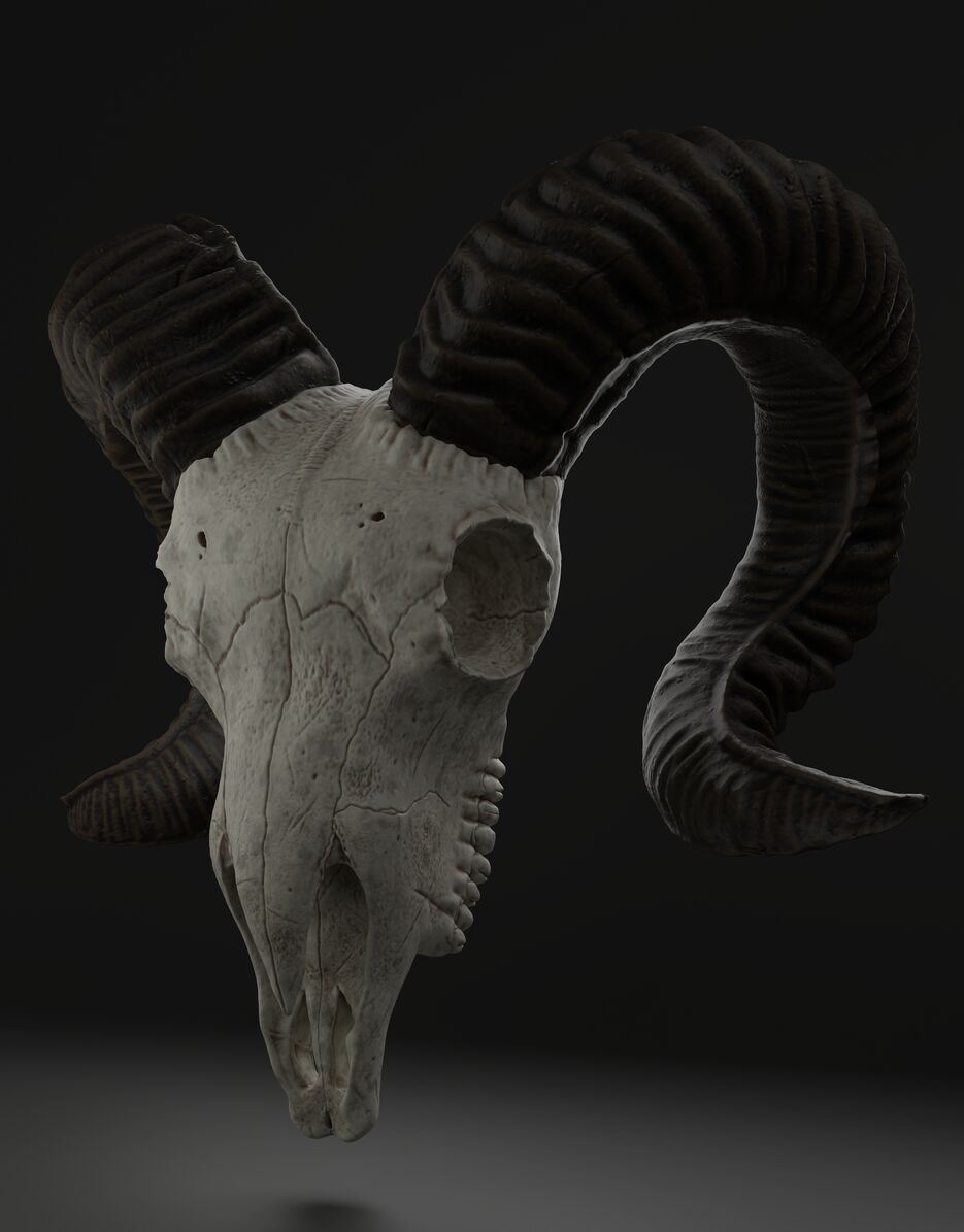 Render_7.png