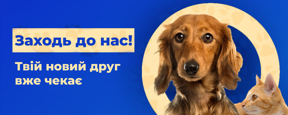 Без назви-2.jpg