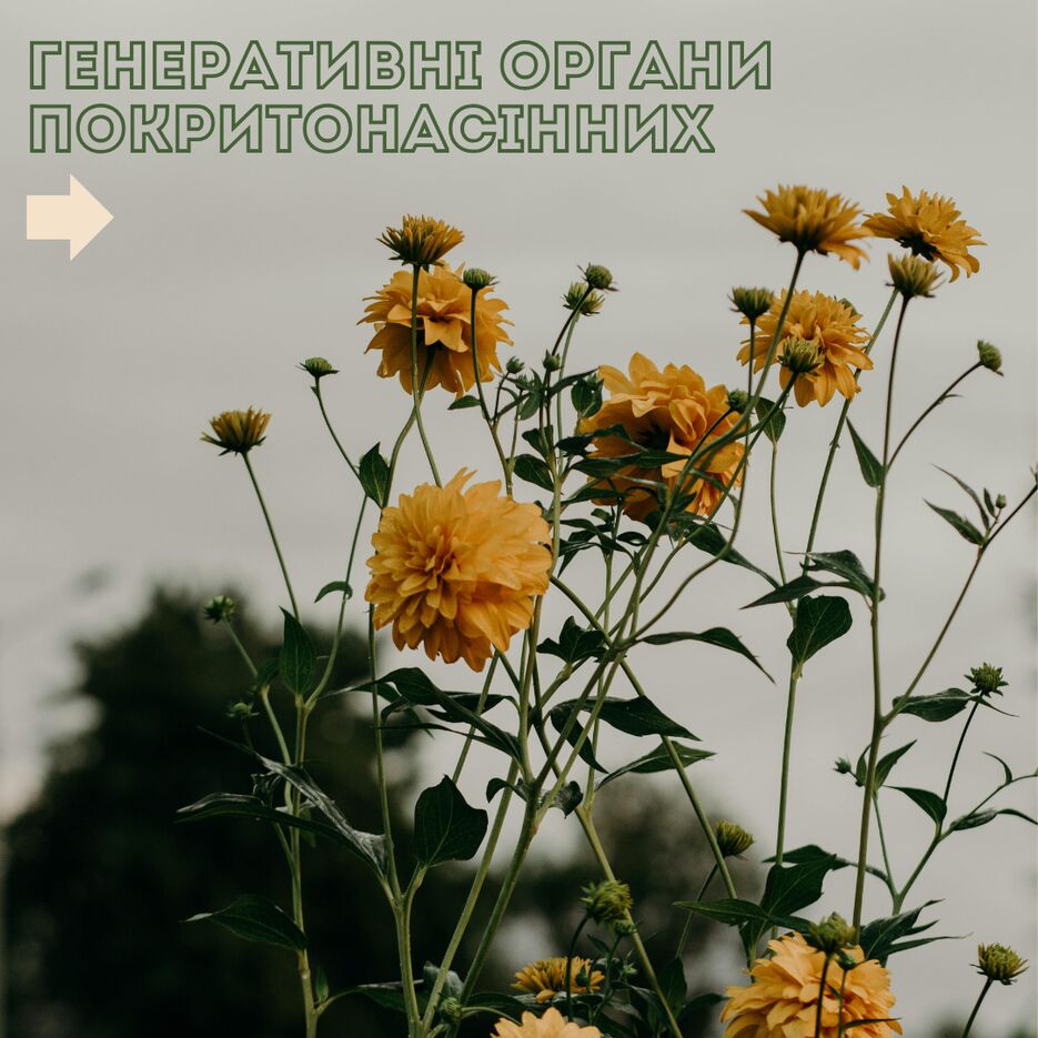 7_20240223_132438_0006.png